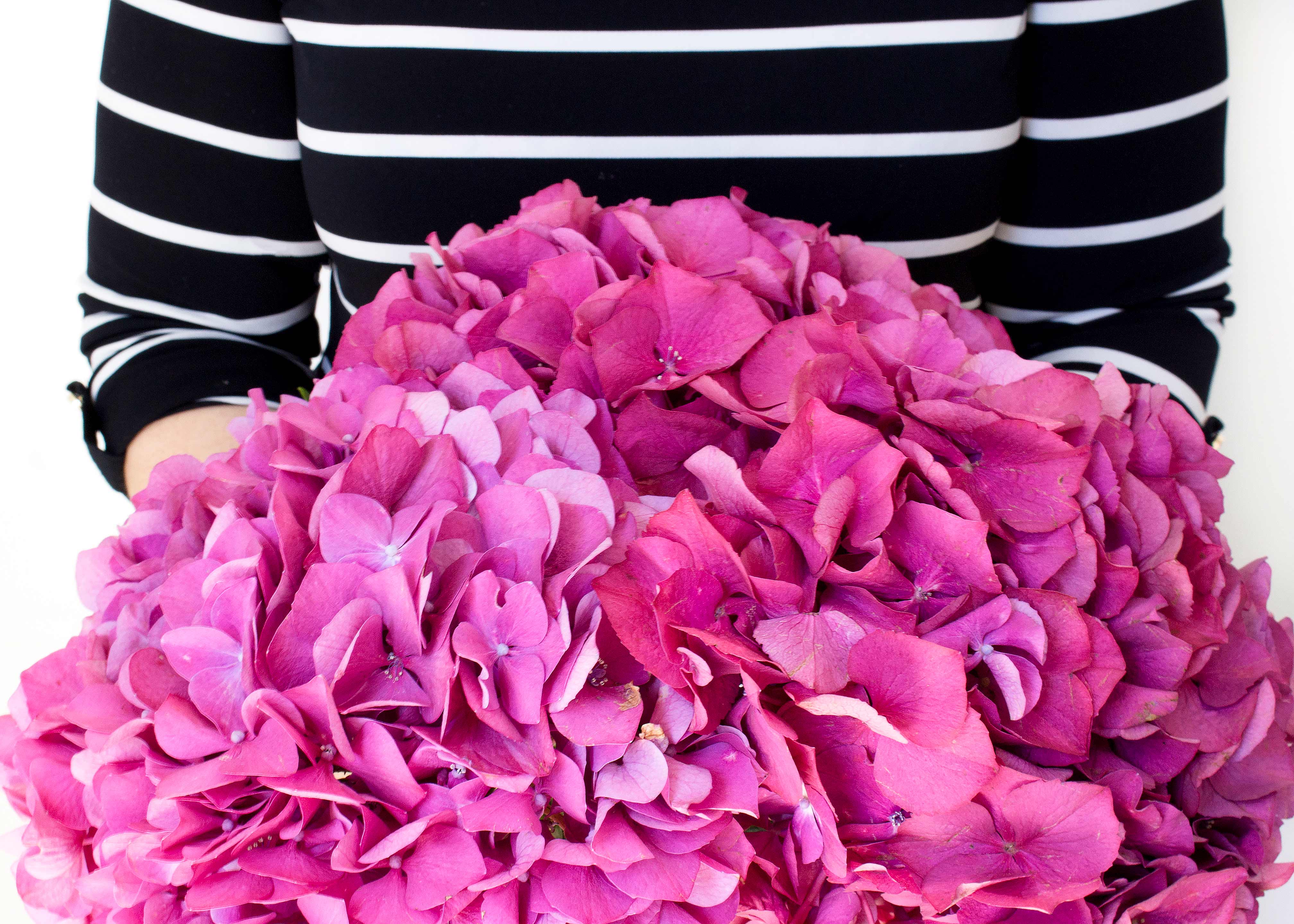 using free stock photos to promote your brand from SEO and Copywriter Danielle Wilson